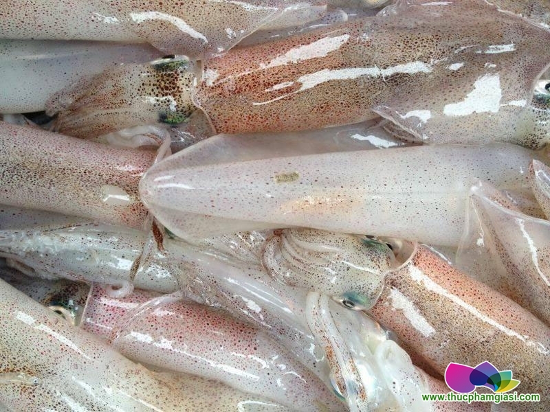 CÁCH CHỌN MỰC TƯƠI CHUẨN KHÔNG CẦN CHỈNH