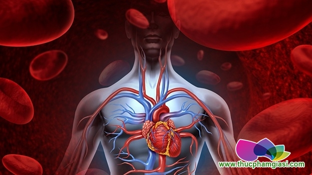 Danh sách các nguồn thực phẩm hàng đầu chứa vitamin B12