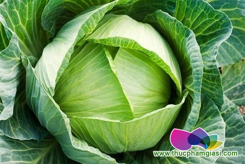 tac dung chua benh tuyet voi cua bap cai