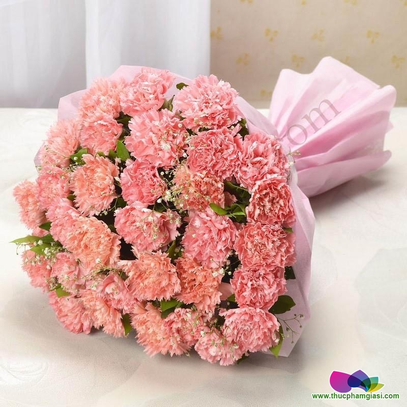 Ý nghĩa ngày nhà giáo Việt Nam 20/11