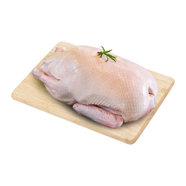 Hải Sản Đông Lạnh