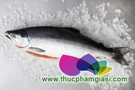 ca hoi nguyen con co dau